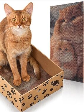 Cat Scratcher with Box for Indoor Cats, Cardboard Cat Scratching Board🐱